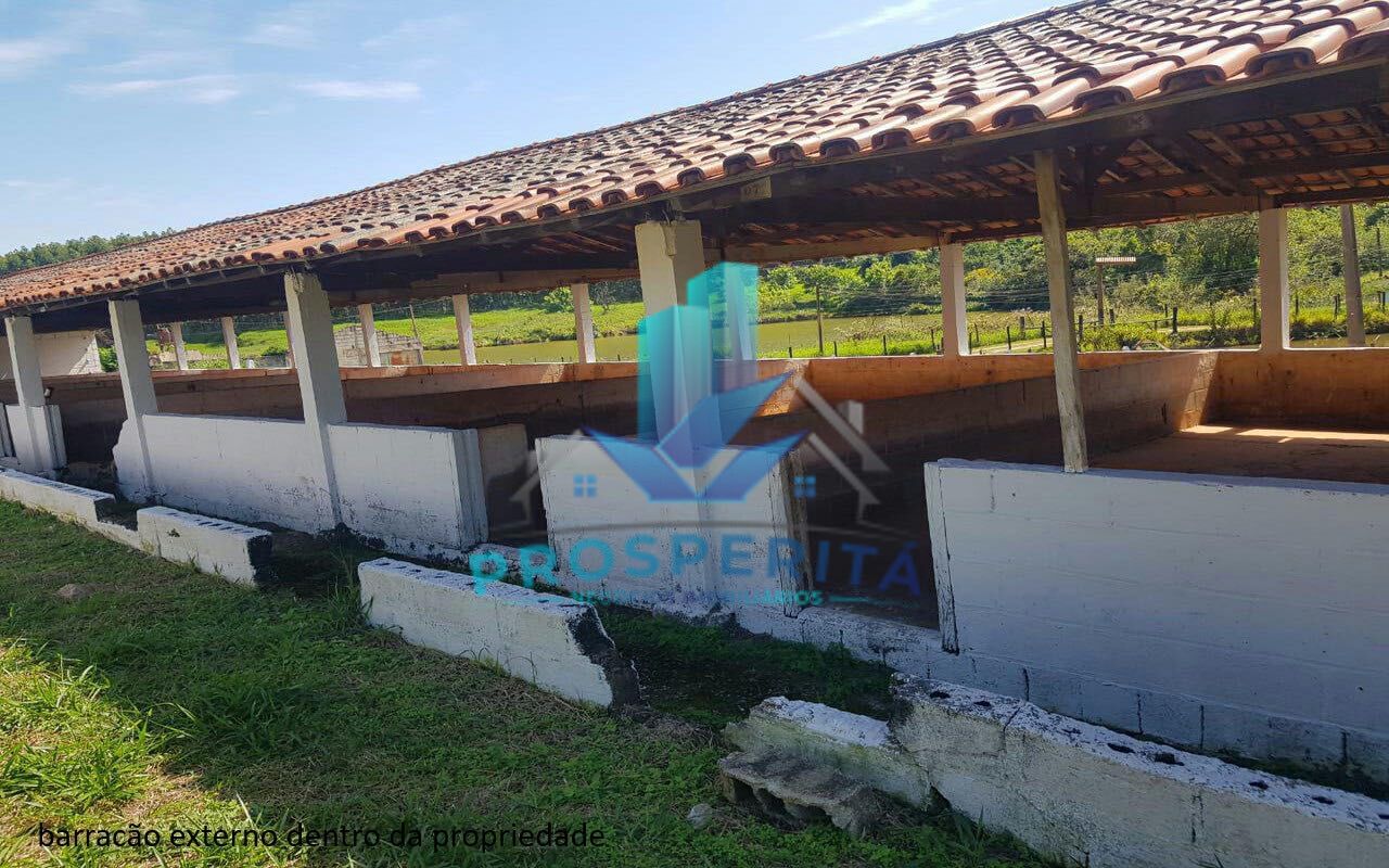Sítio à venda com 4 quartos, 16600m² - Foto 16