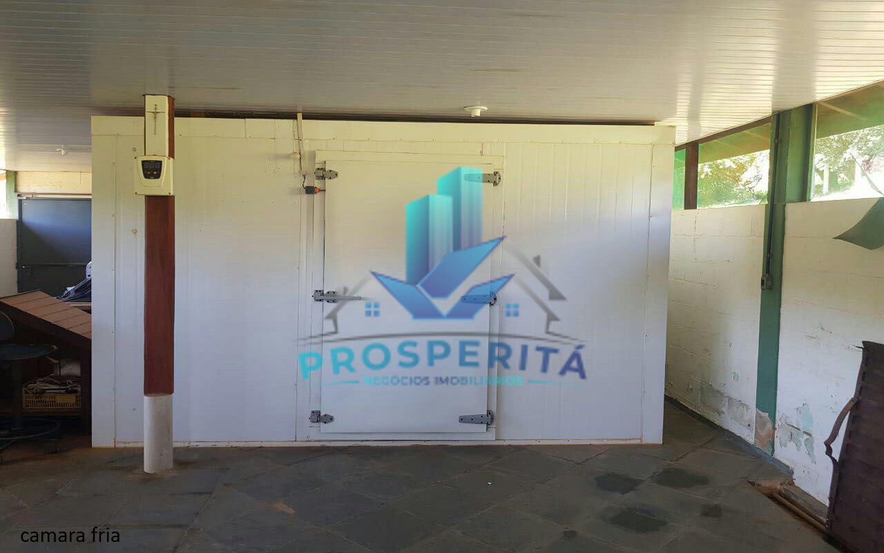 Sítio à venda com 4 quartos, 16600m² - Foto 25