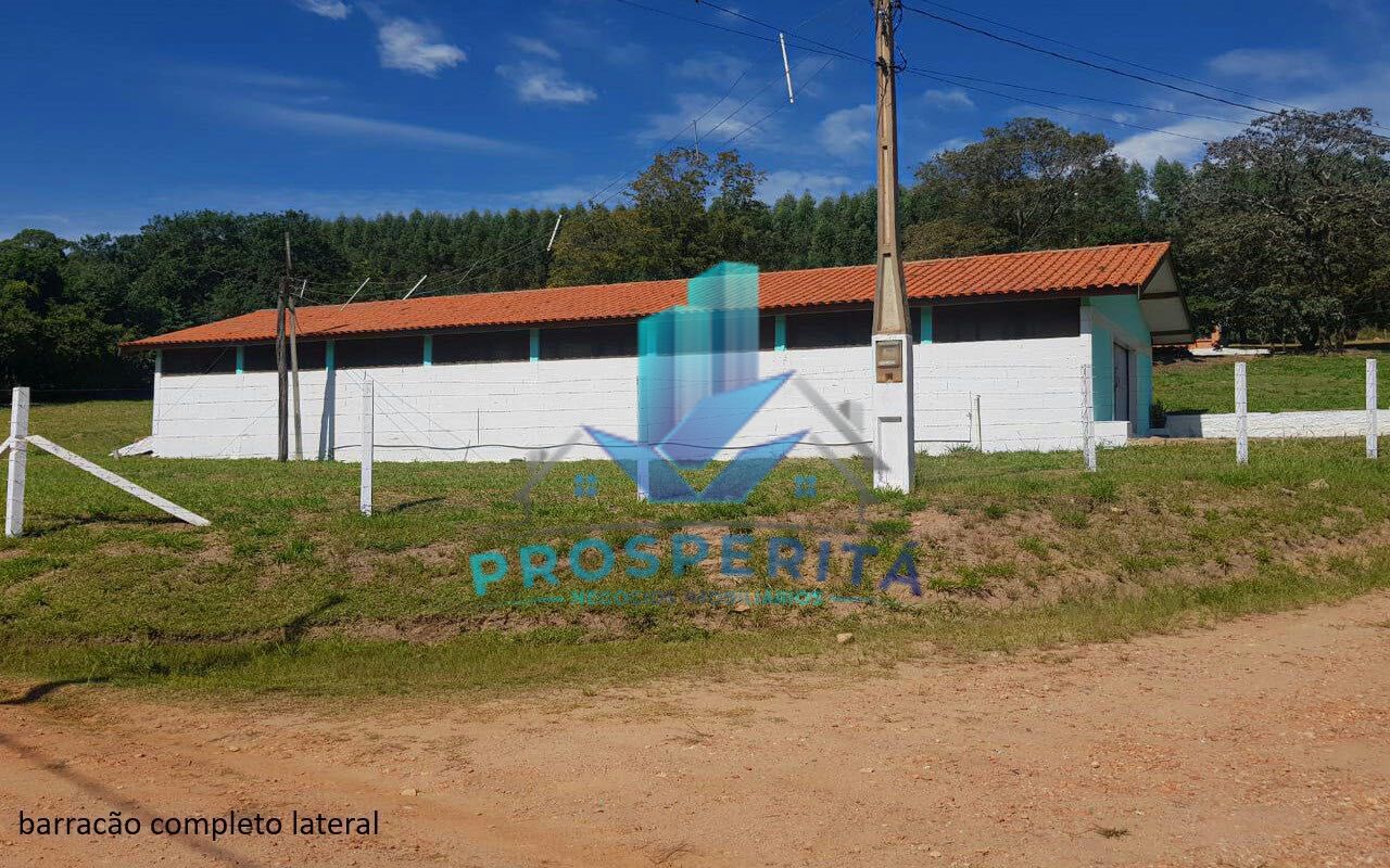 Sítio à venda com 4 quartos, 16600m² - Foto 9