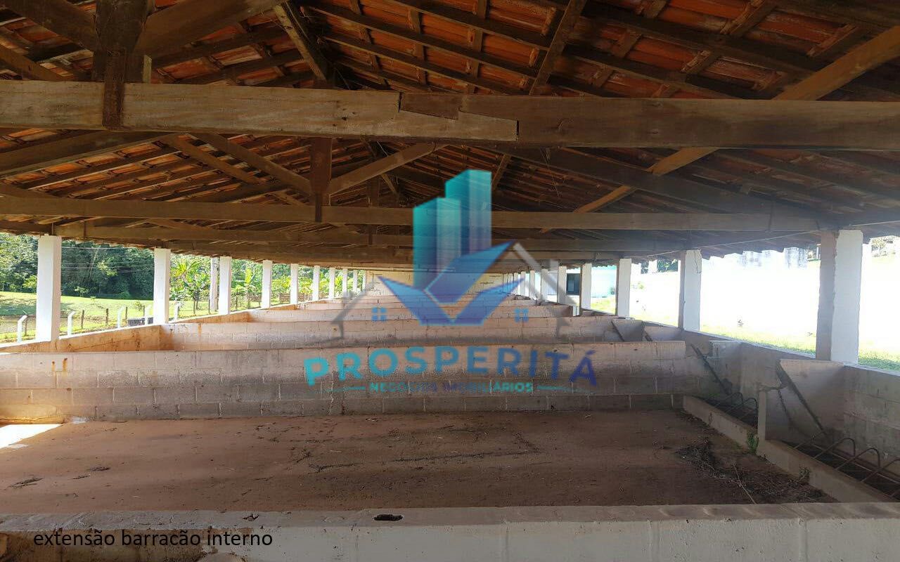 Sítio à venda com 4 quartos, 16600m² - Foto 41