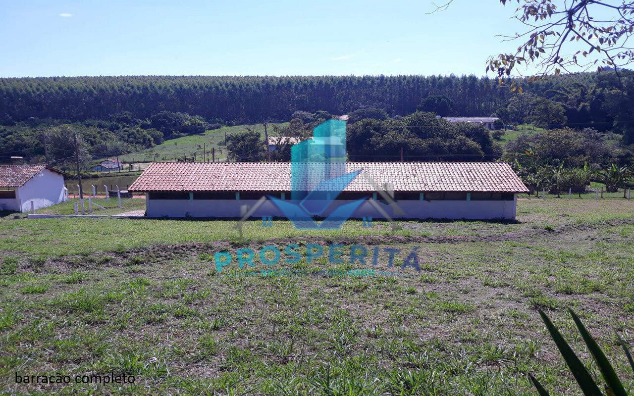 Sítio à venda com 4 quartos, 16600m² - Foto 13