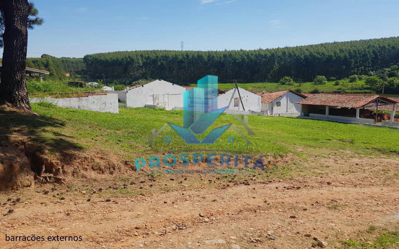 Sítio à venda com 4 quartos, 16600m² - Foto 18