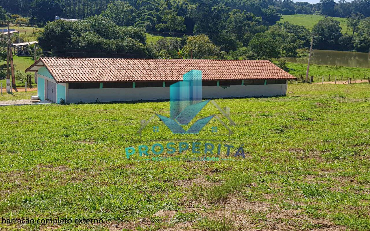 Sítio à venda com 4 quartos, 16600m² - Foto 11