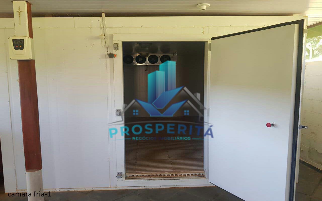 Sítio à venda com 4 quartos, 16600m² - Foto 24