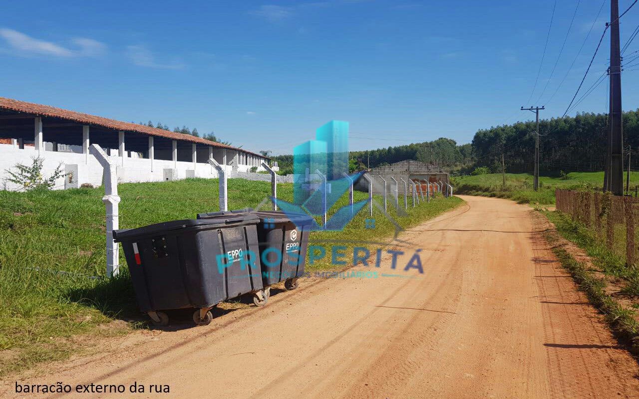 Sítio à venda com 4 quartos, 16600m² - Foto 14