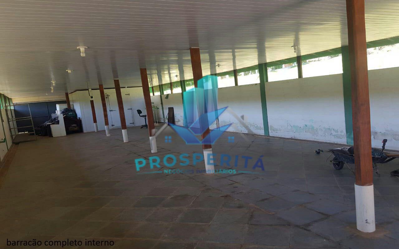 Sítio à venda com 4 quartos, 16600m² - Foto 10