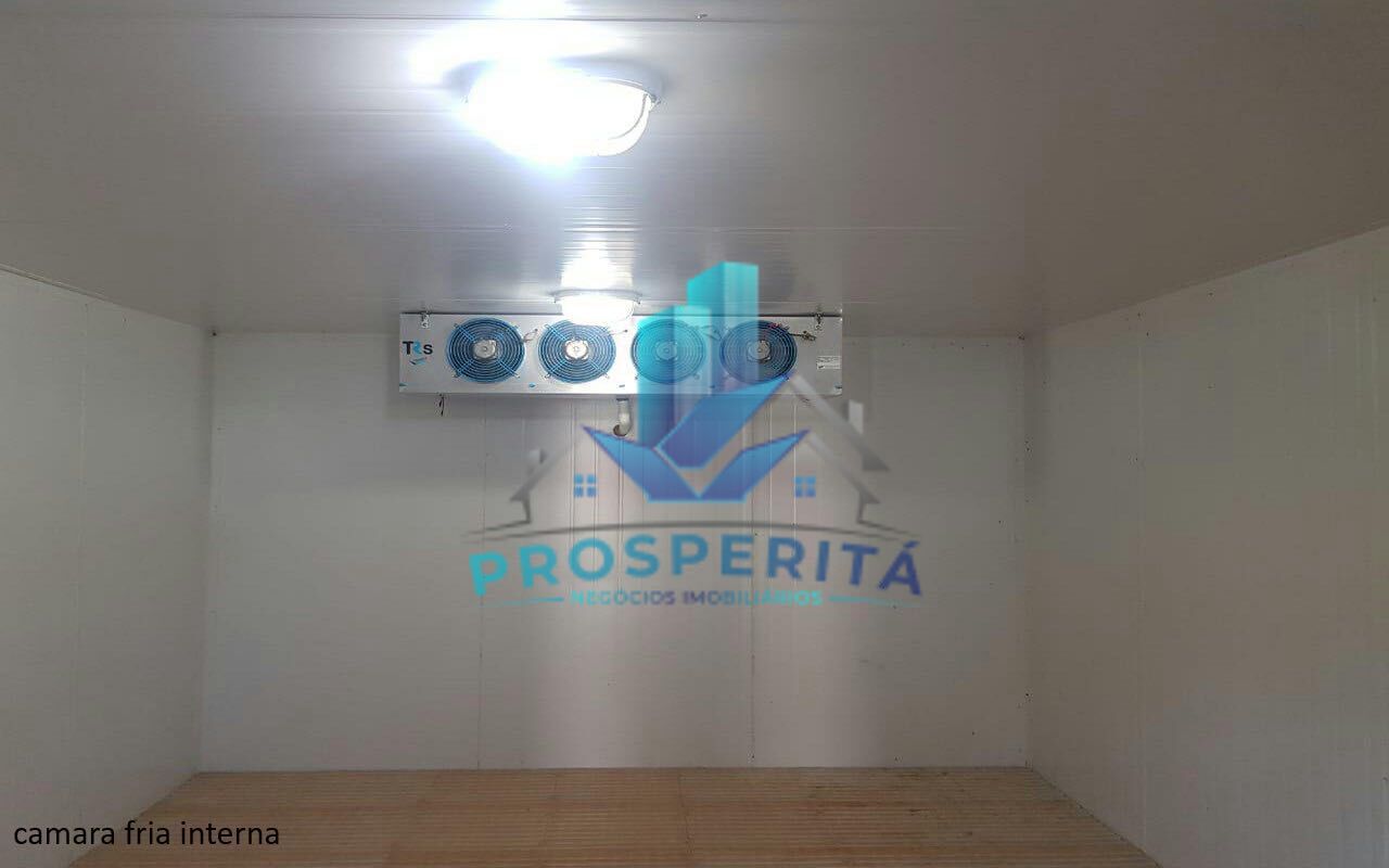Sítio à venda com 4 quartos, 16600m² - Foto 21