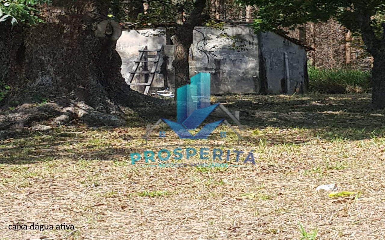 Sítio à venda com 4 quartos, 16600m² - Foto 23