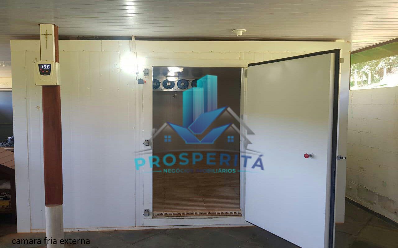 Sítio à venda com 4 quartos, 16600m² - Foto 22