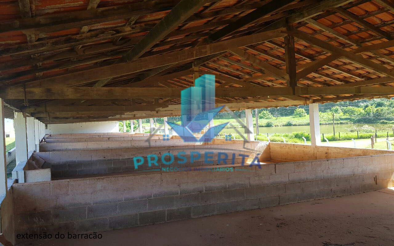 Sítio à venda com 4 quartos, 16600m² - Foto 36