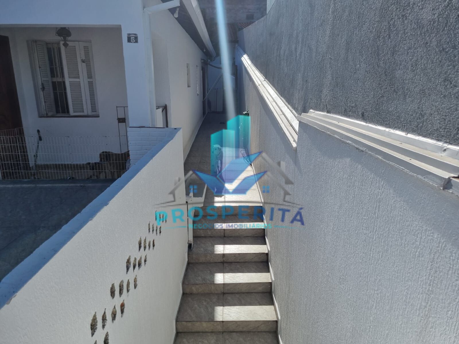 Casa, 3 quartos, 201 m² - Foto 9