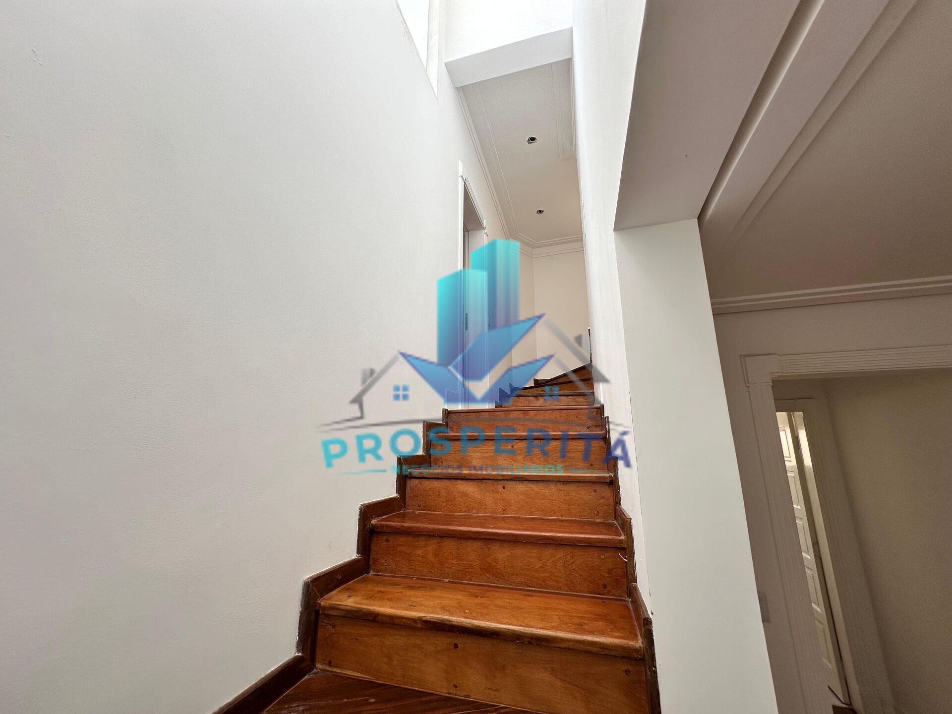 Casa, 4 quartos, 480 m² - Foto 7