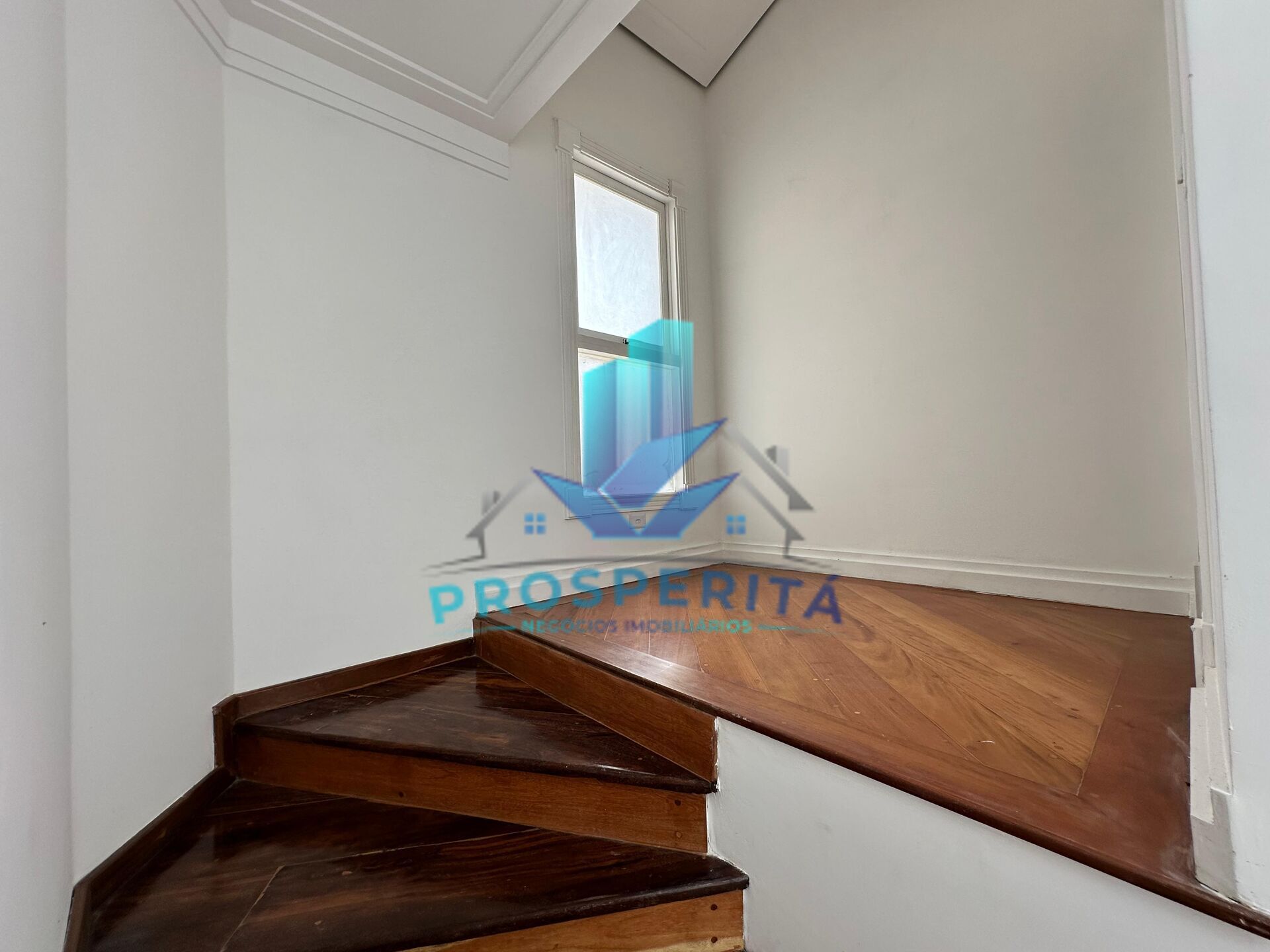 Casa, 4 quartos, 480 m² - Foto 36