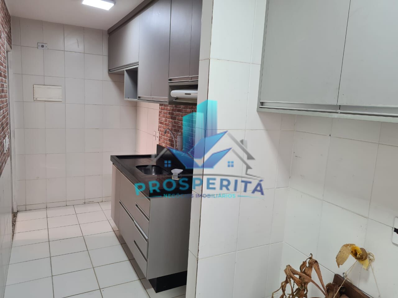 Apartamento para alugar com 3 quartos, 66m² - Foto 12