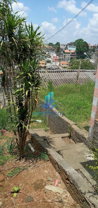 Casa, 4 quartos, 375 m² - Foto 35