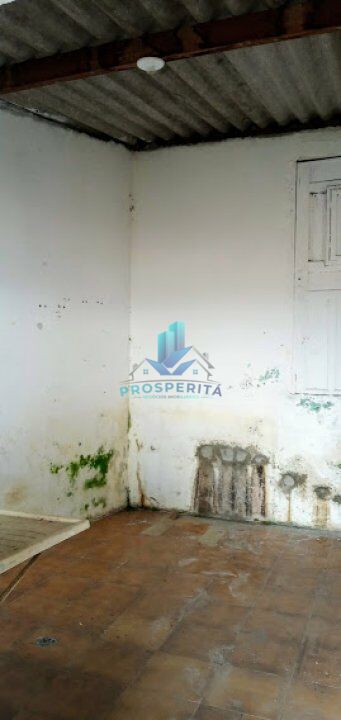 Casa, 4 quartos, 375 m² - Foto 13