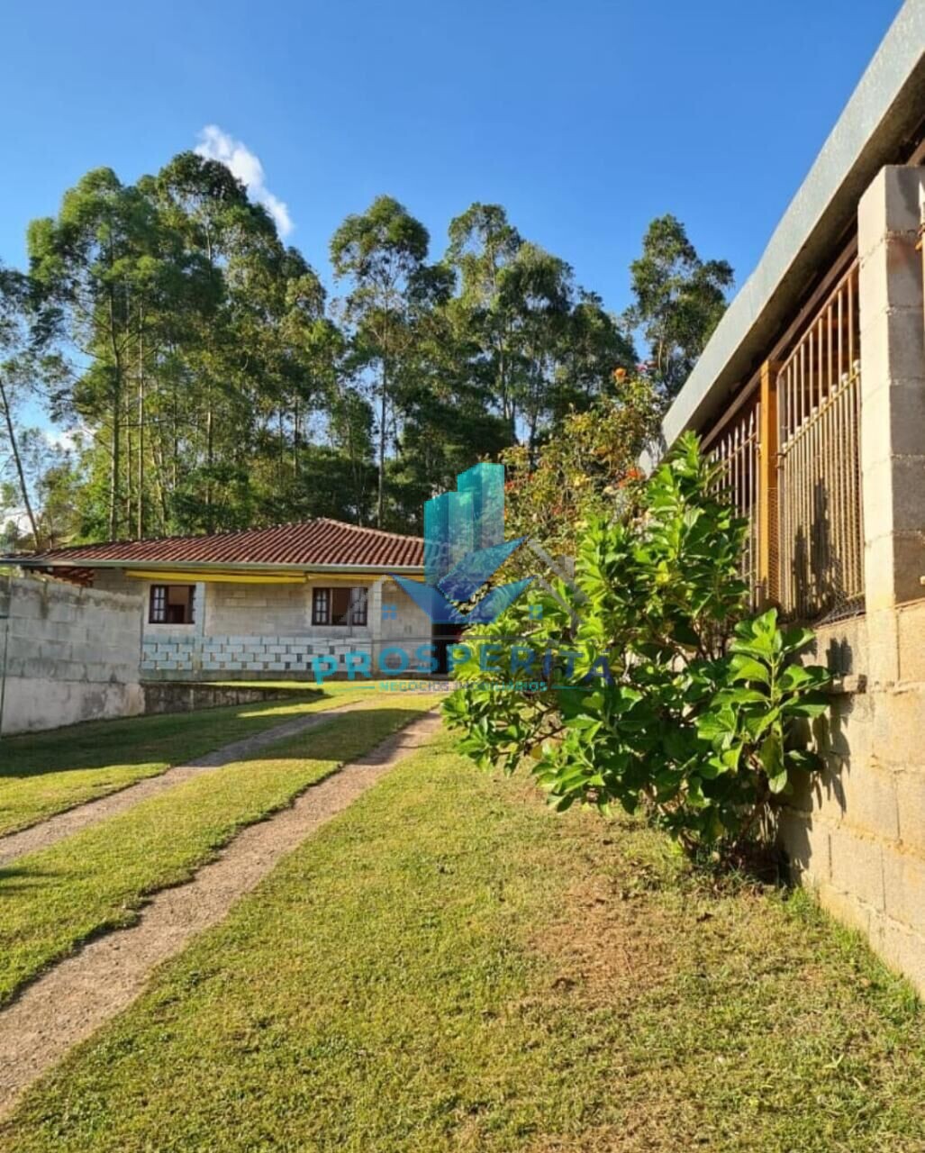 Fazenda à venda com 3 quartos, 1000m² - Foto 10