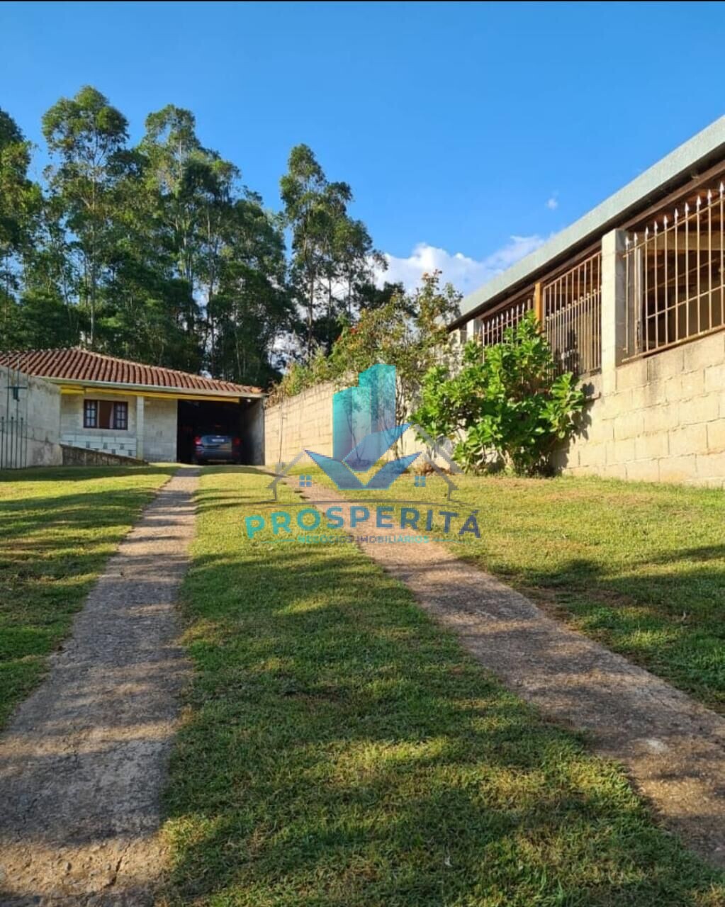 Fazenda à venda com 3 quartos, 1000m² - Foto 15