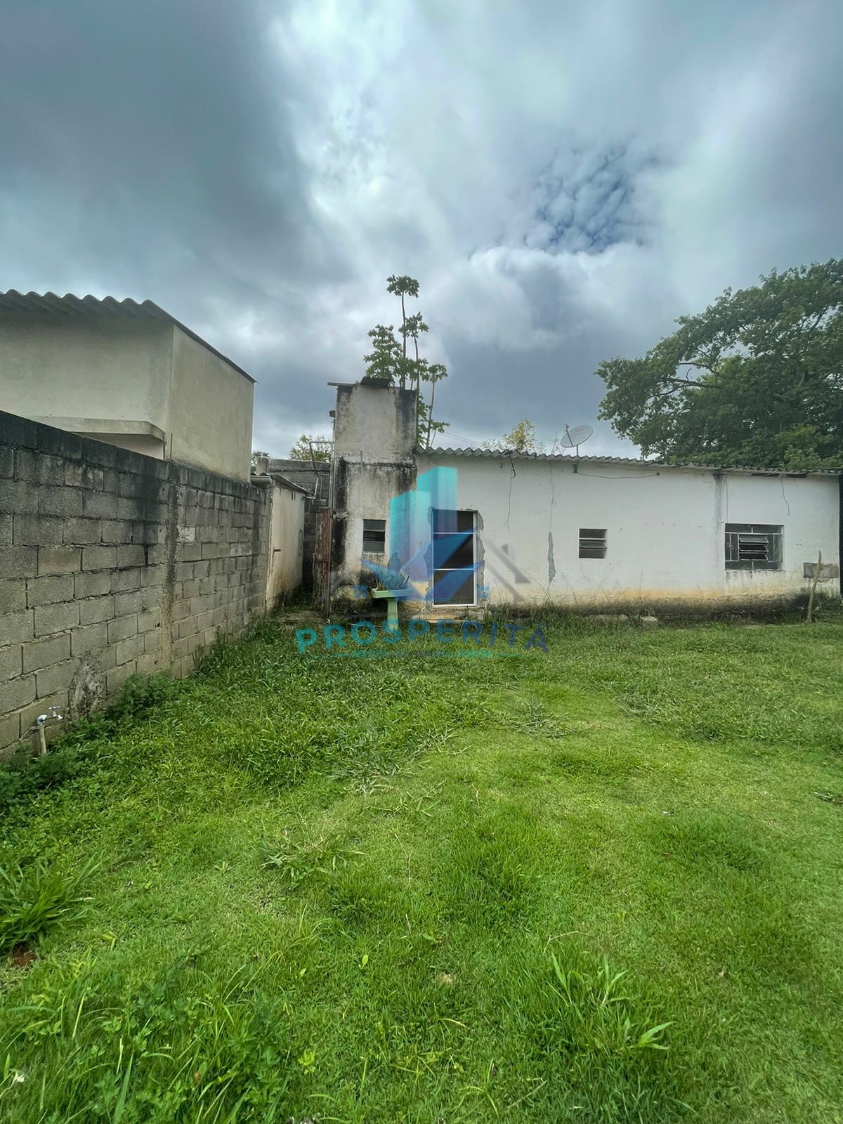 Fazenda à venda com 3 quartos, 1000m² - Foto 30