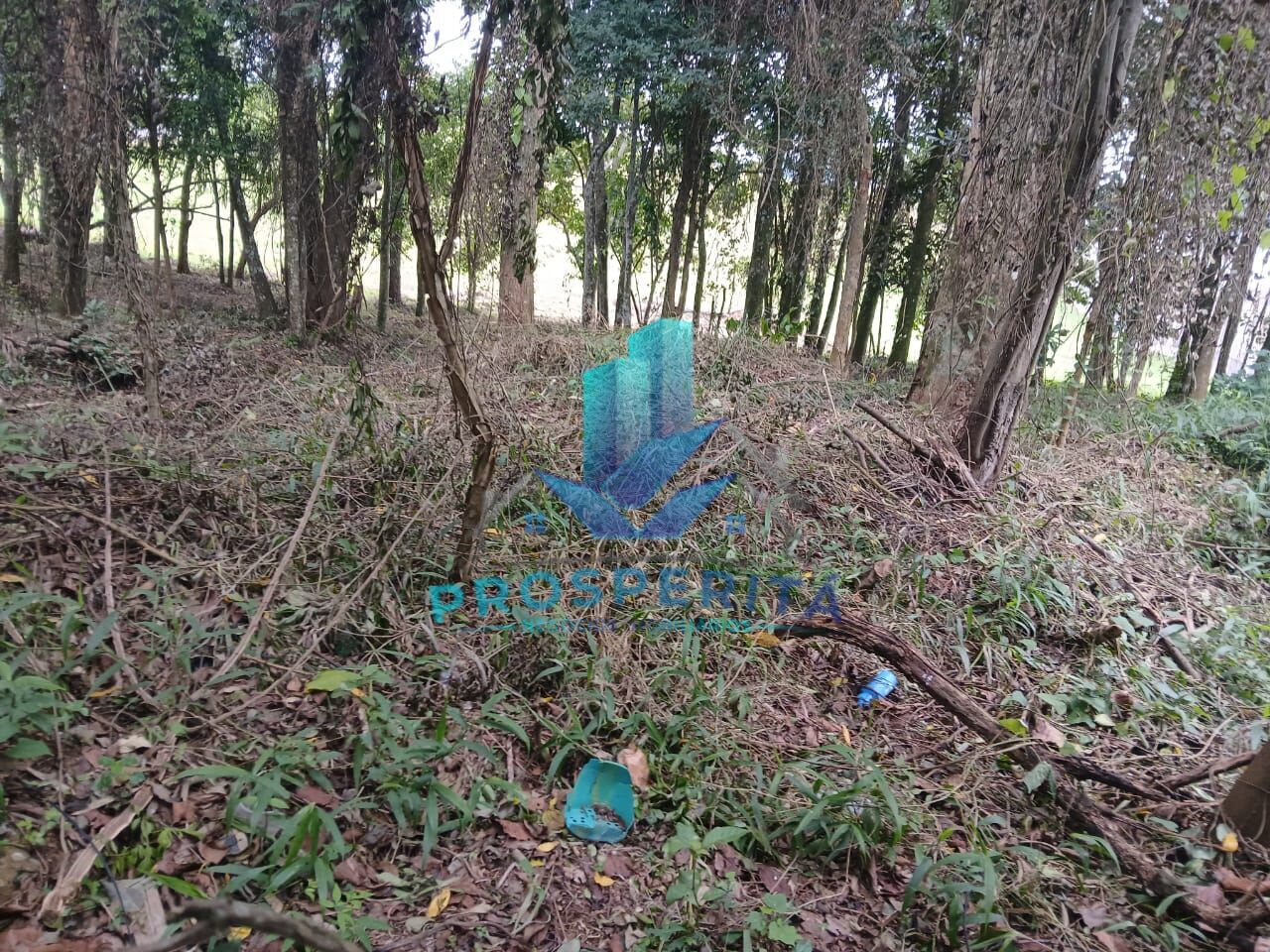 Terreno, 3398 m² - Foto 4