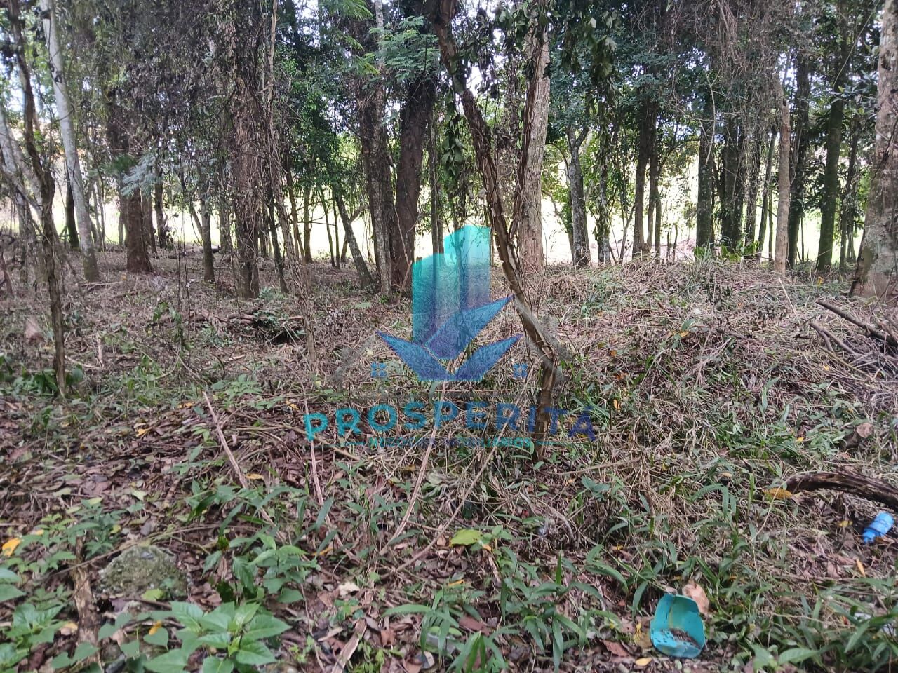 Terreno, 3398 m² - Foto 6