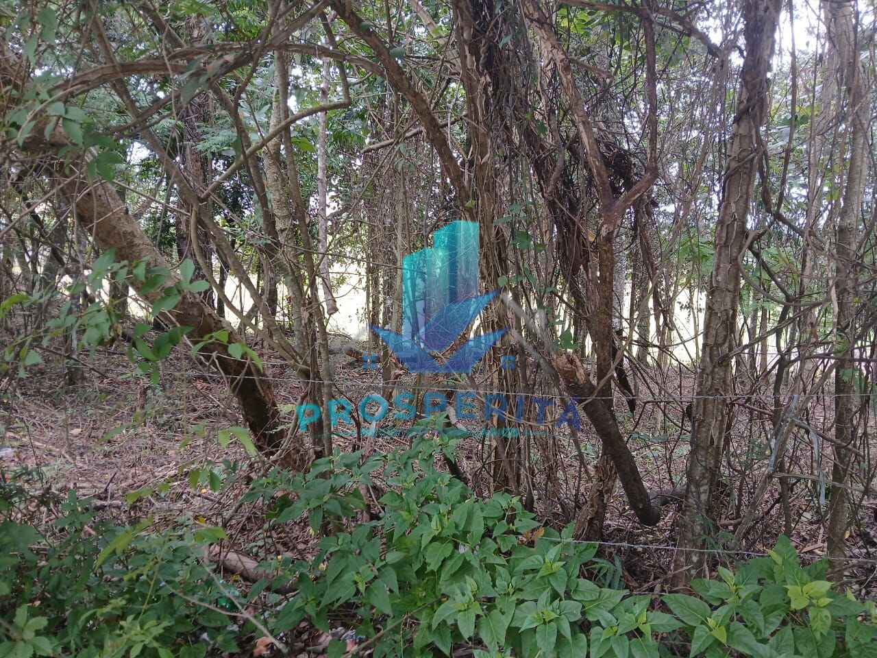 Terreno, 3398 m² - Foto 7