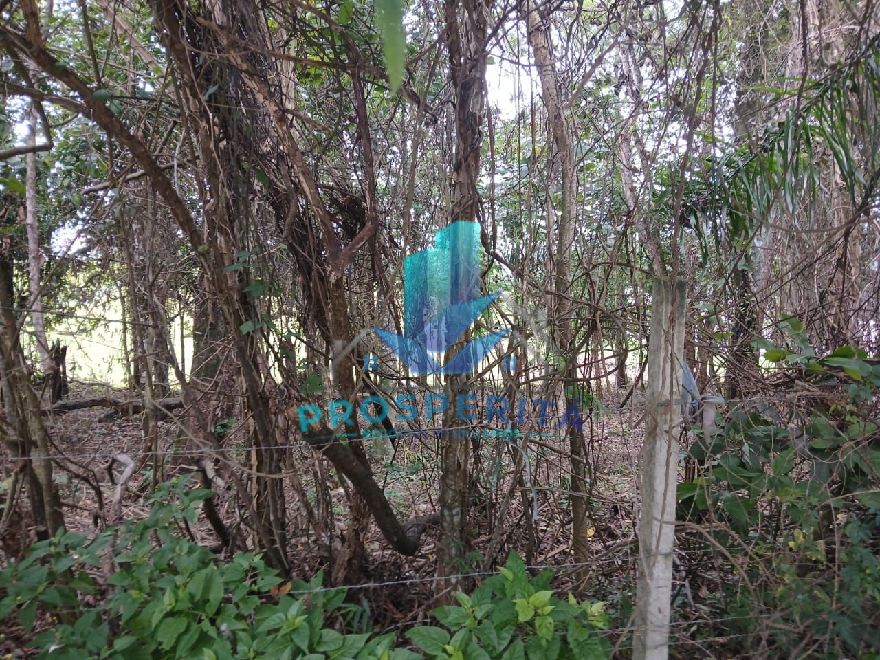 Terreno, 3398 m² - Foto 5