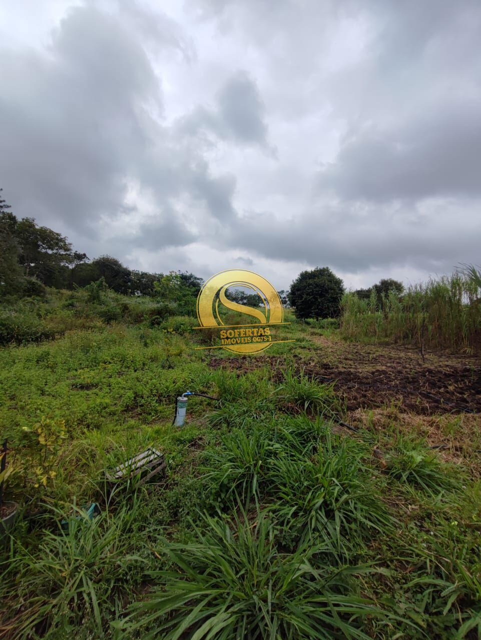 Sítio, 3 quartos, 10000 m² - Foto 22