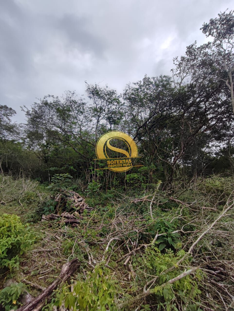 Sítio, 3 quartos, 10000 m² - Foto 16