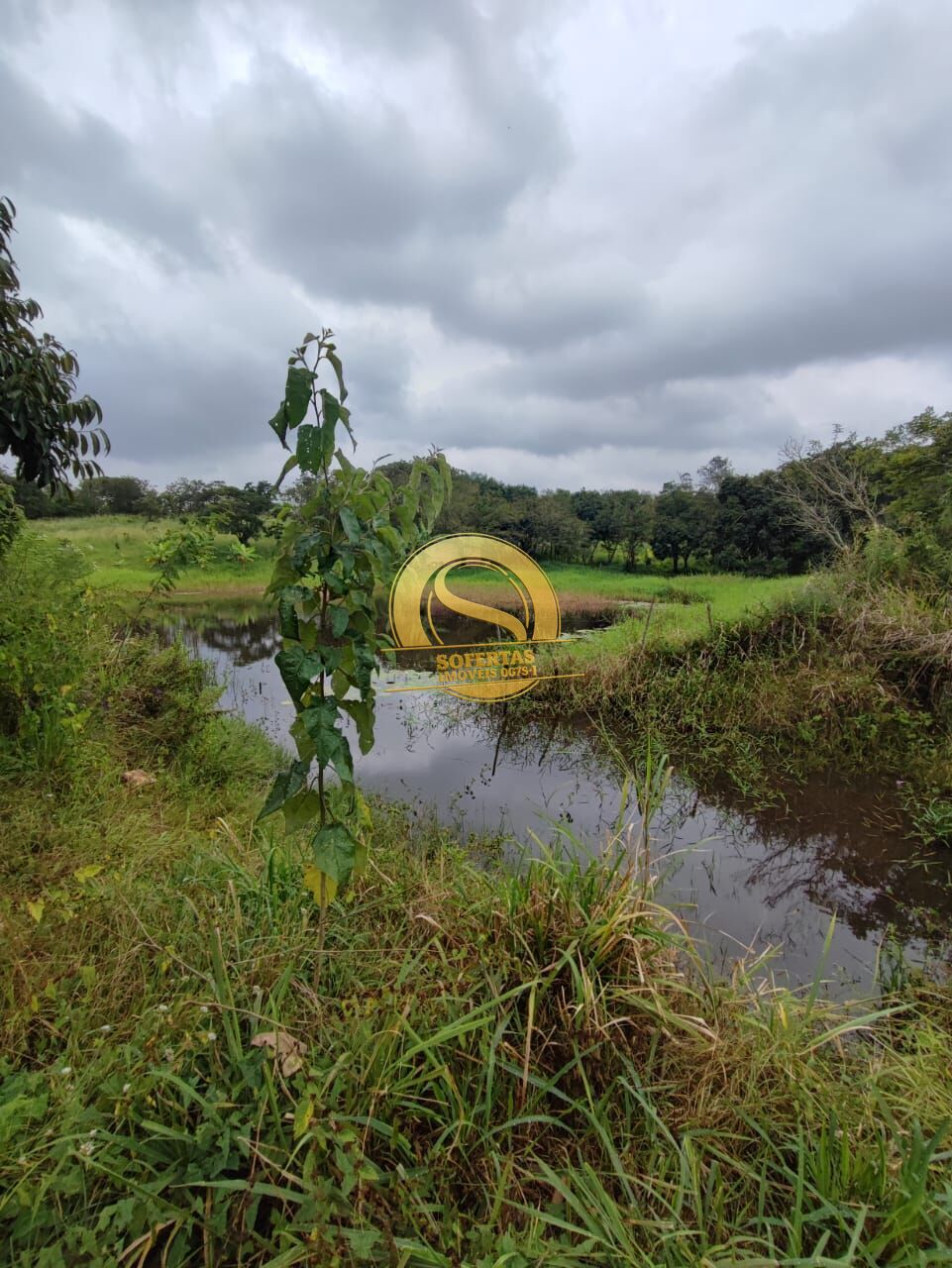 Sítio, 3 quartos, 10000 m² - Foto 20