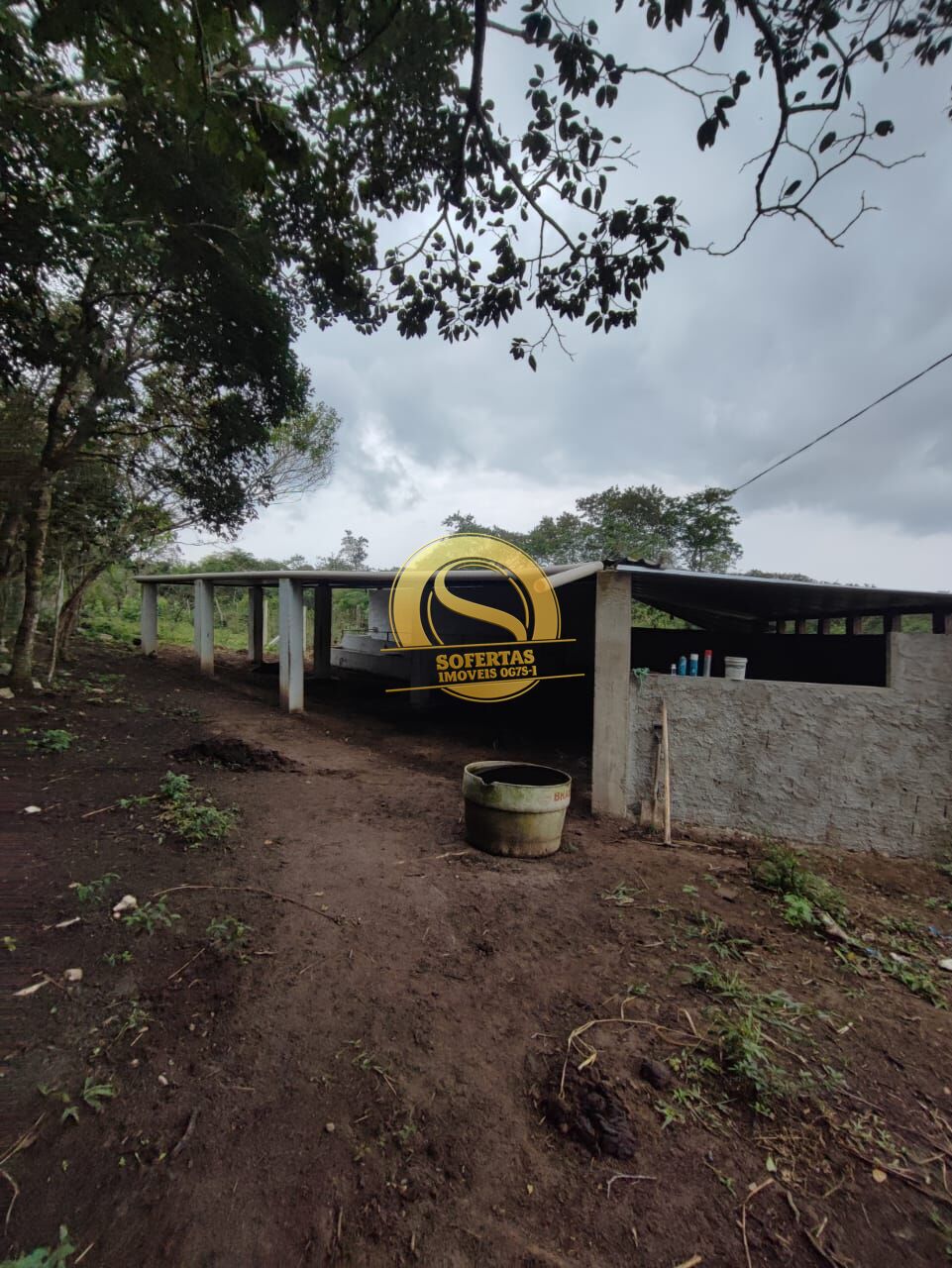 Sítio, 3 quartos, 10000 m² - Foto 7