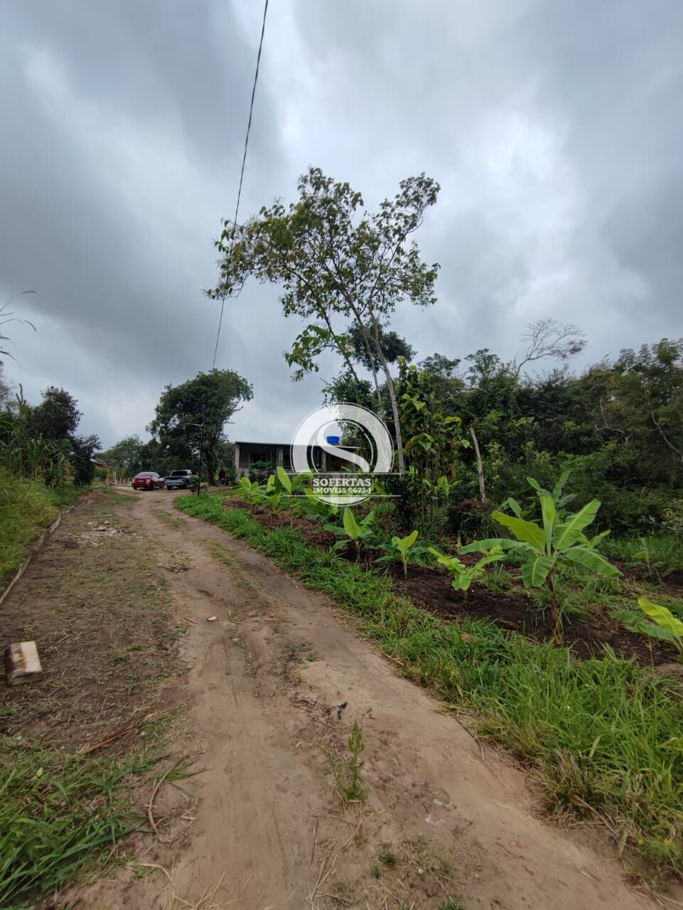 Terreno à venda, 10000m² - Foto 19