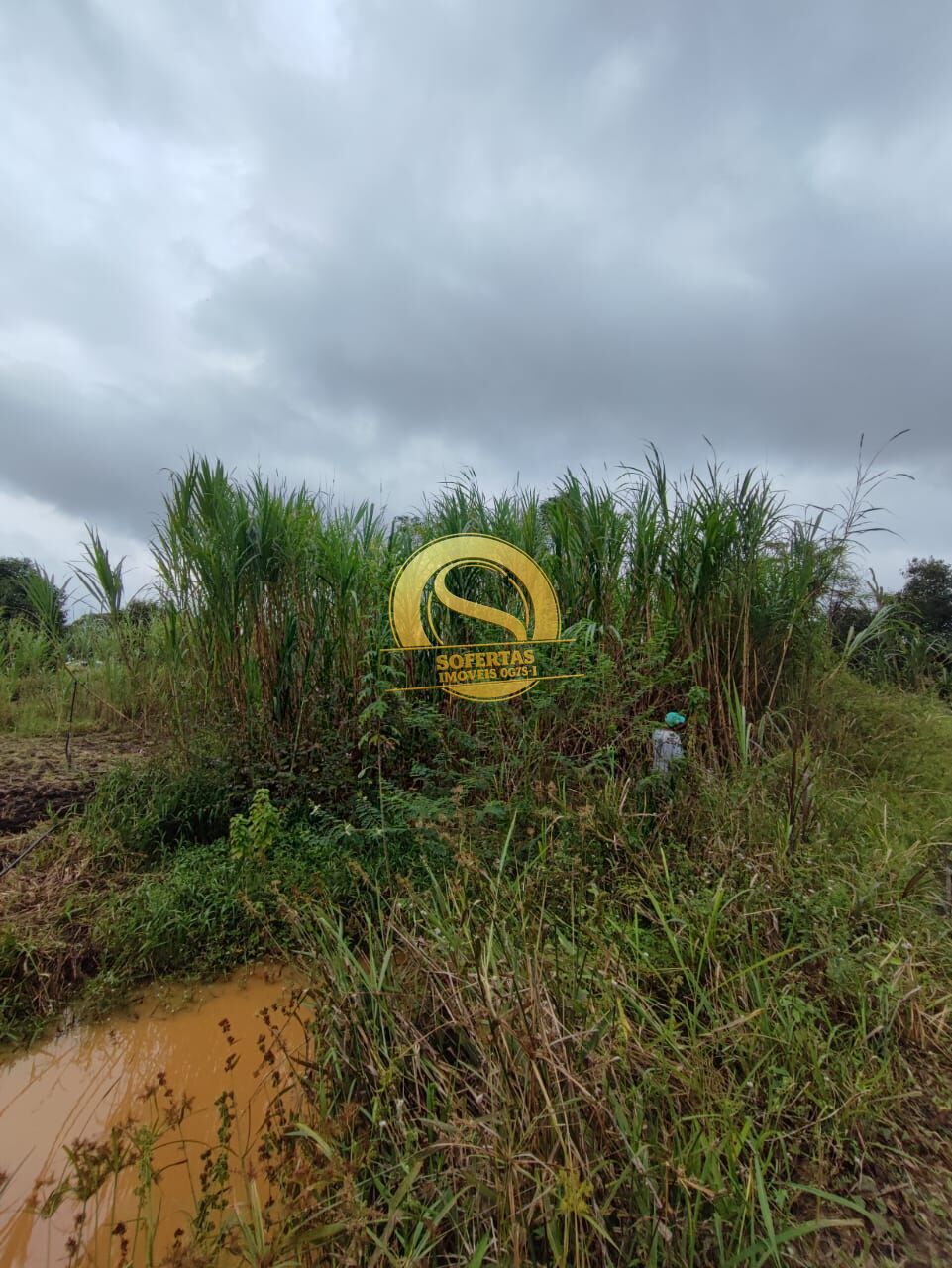 Sítio, 3 quartos, 10000 m² - Foto 24