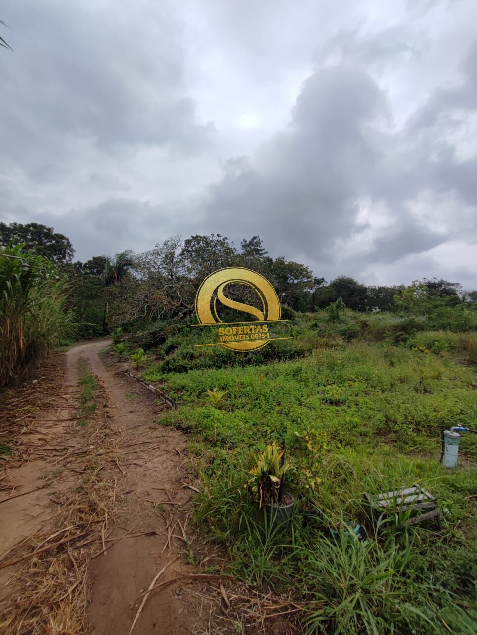 Sítio, 3 quartos, 10000 m² - Foto 13