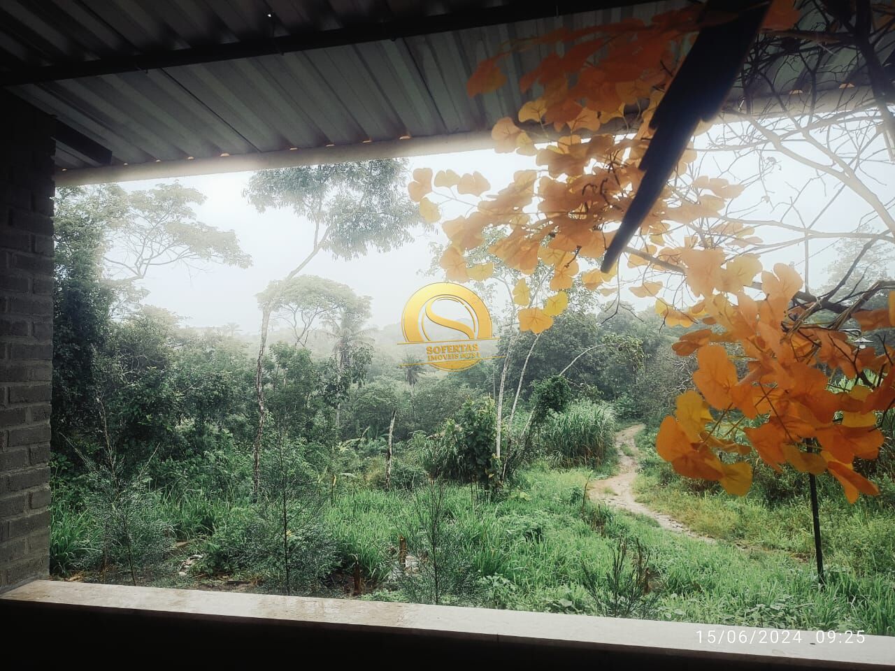 Sítio, 3 quartos, 10000 m² - Foto 27