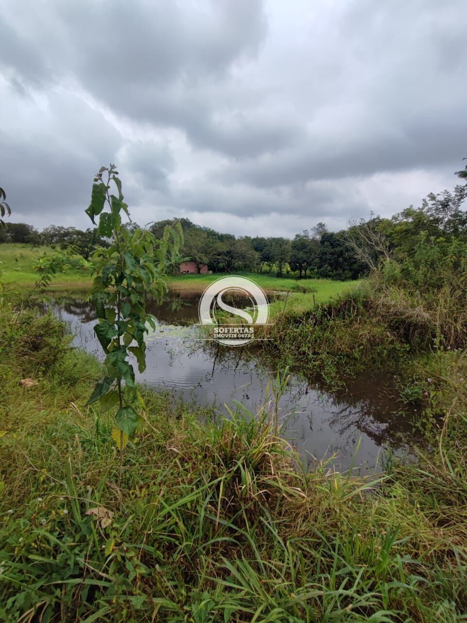 Terreno à venda, 10000m² - Foto 4