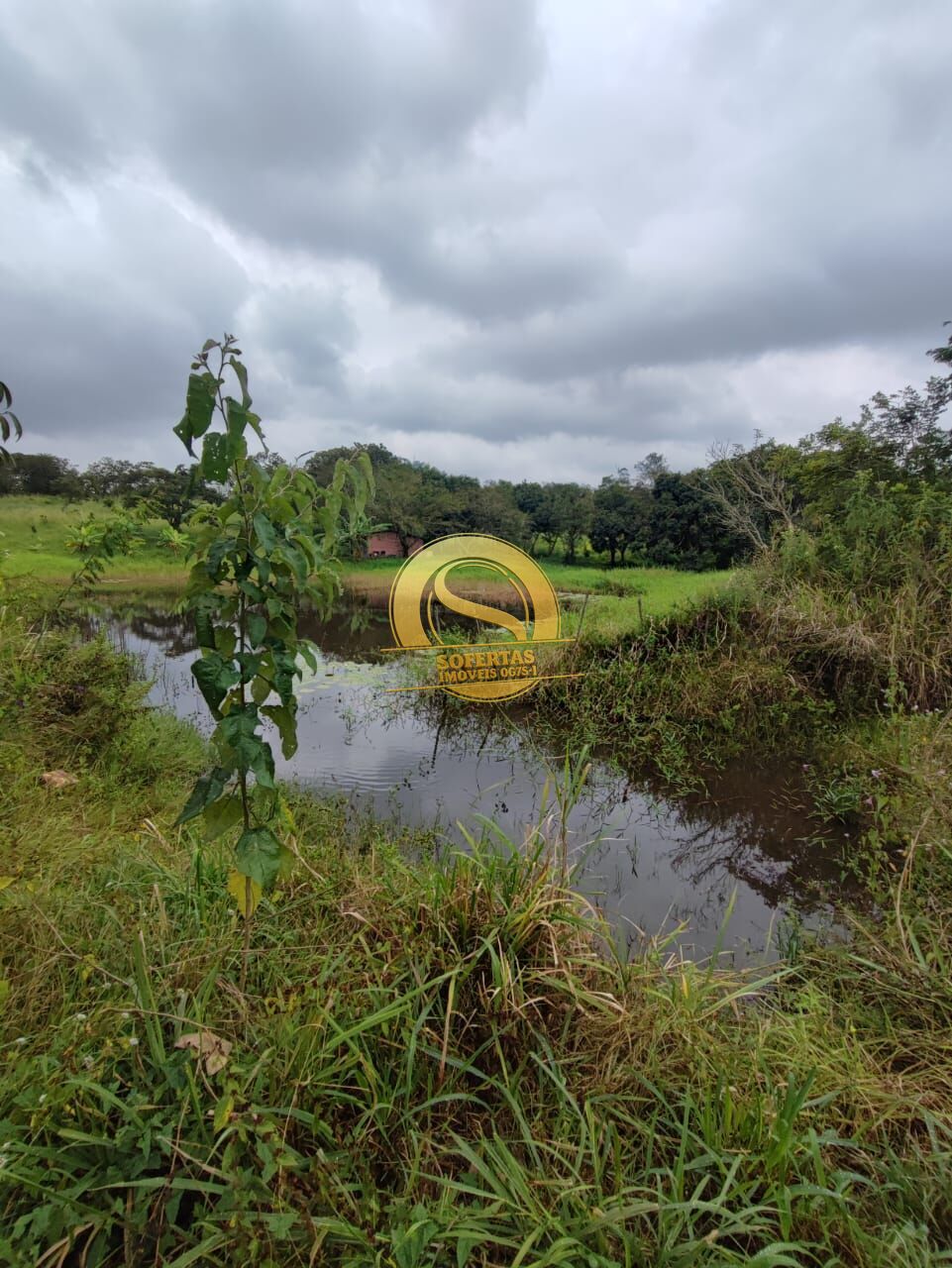 Sítio, 3 quartos, 10000 m² - Foto 3