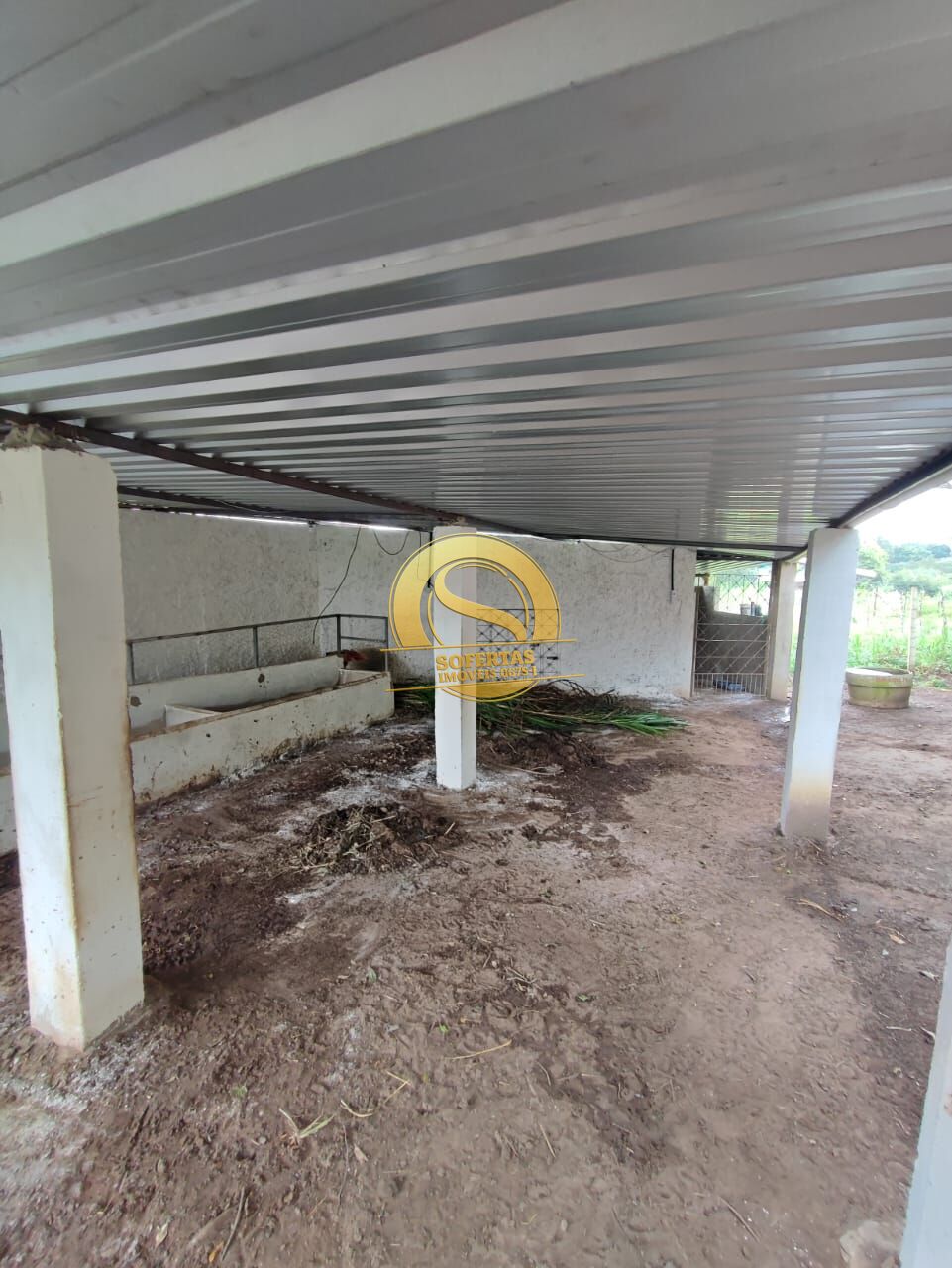 Sítio, 3 quartos, 10000 m² - Foto 29