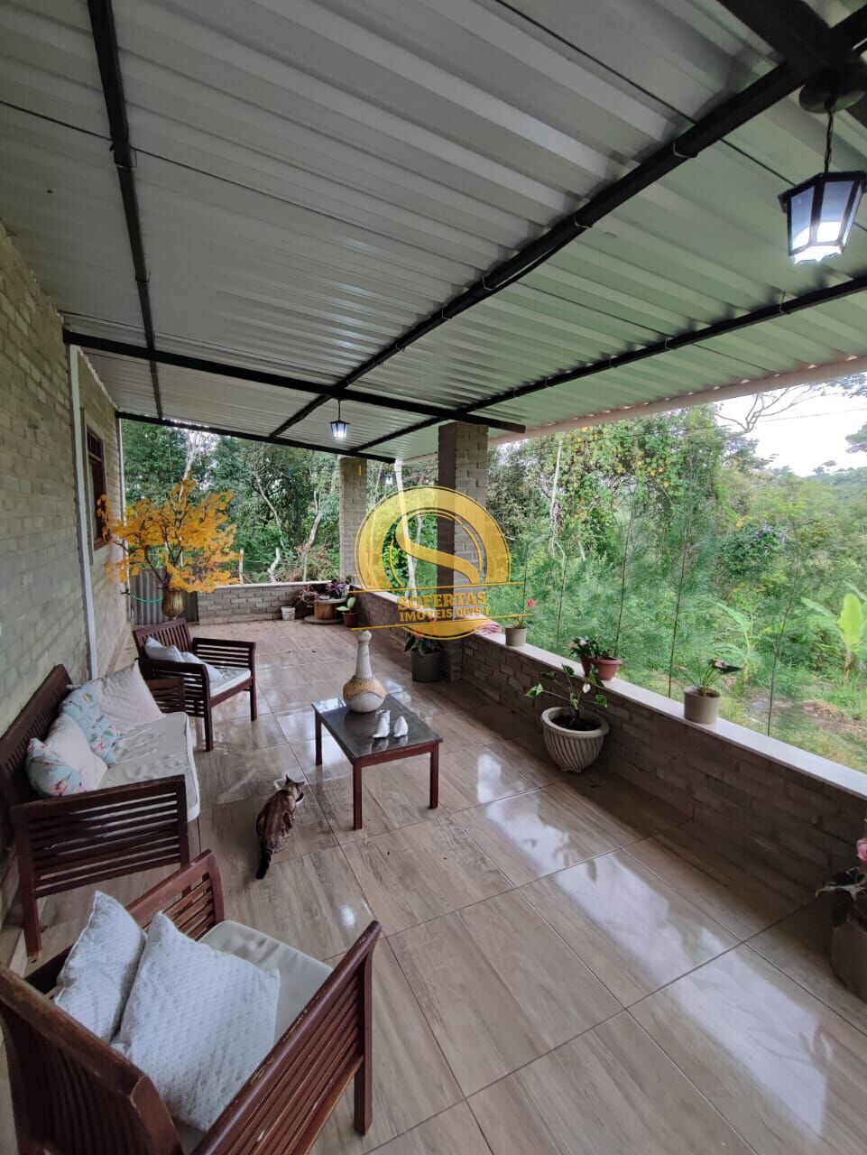 Sítio, 3 quartos, 10000 m² - Foto 2