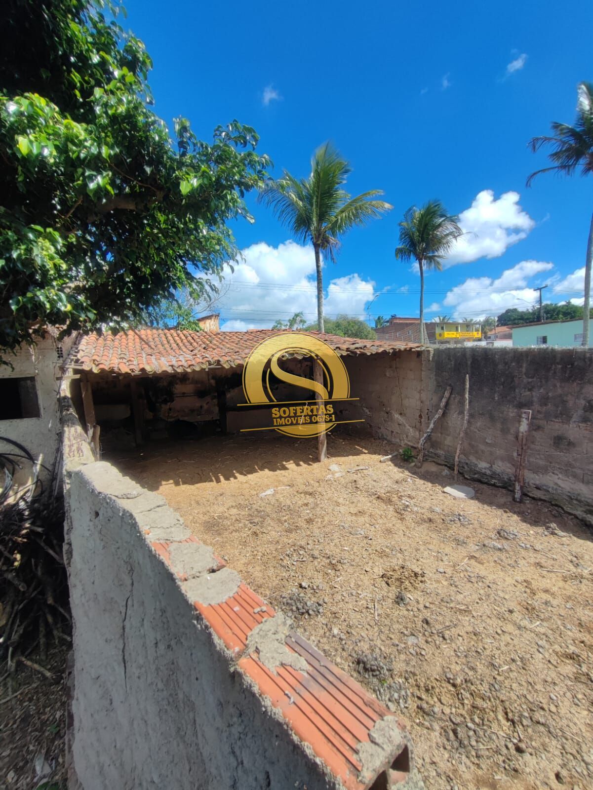 Sítio, 3 quartos, 300 m² - Foto 5