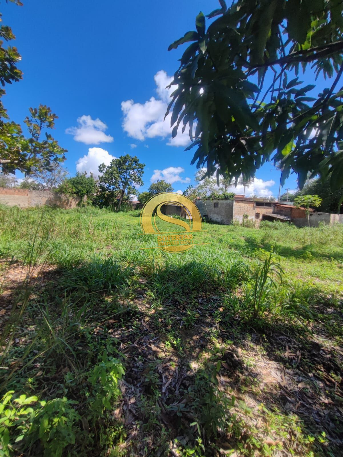 Sítio, 3 quartos, 300 m² - Foto 12
