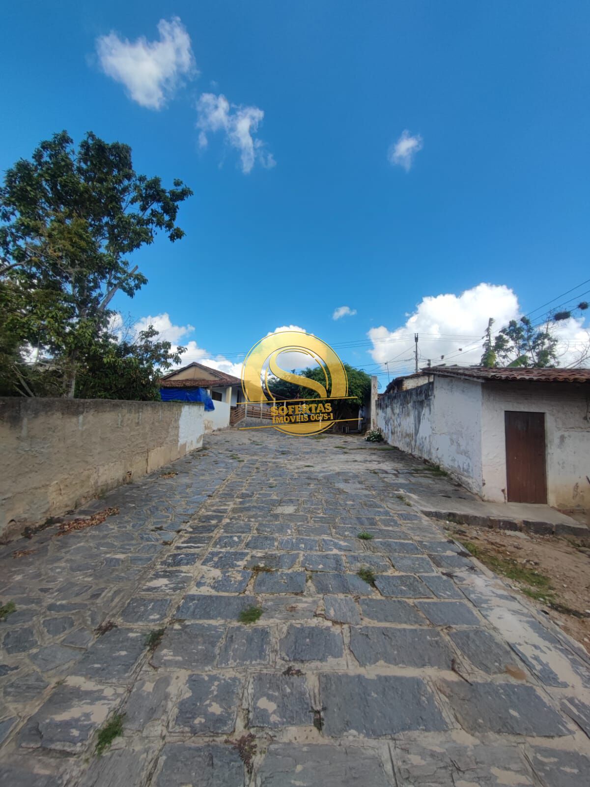 Sítio, 3 quartos, 300 m² - Foto 3
