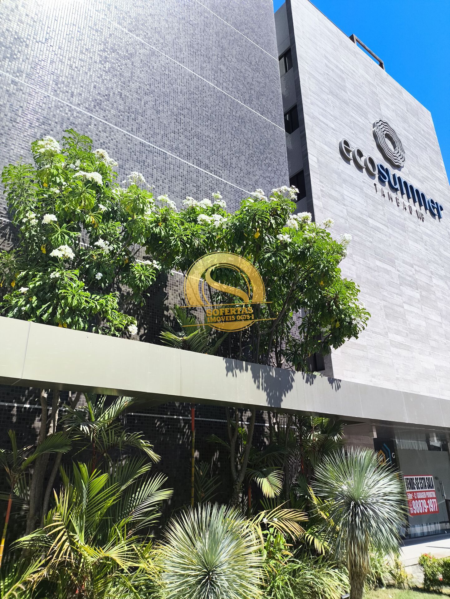 Sala-Conjunto, 50 m² - Foto 12