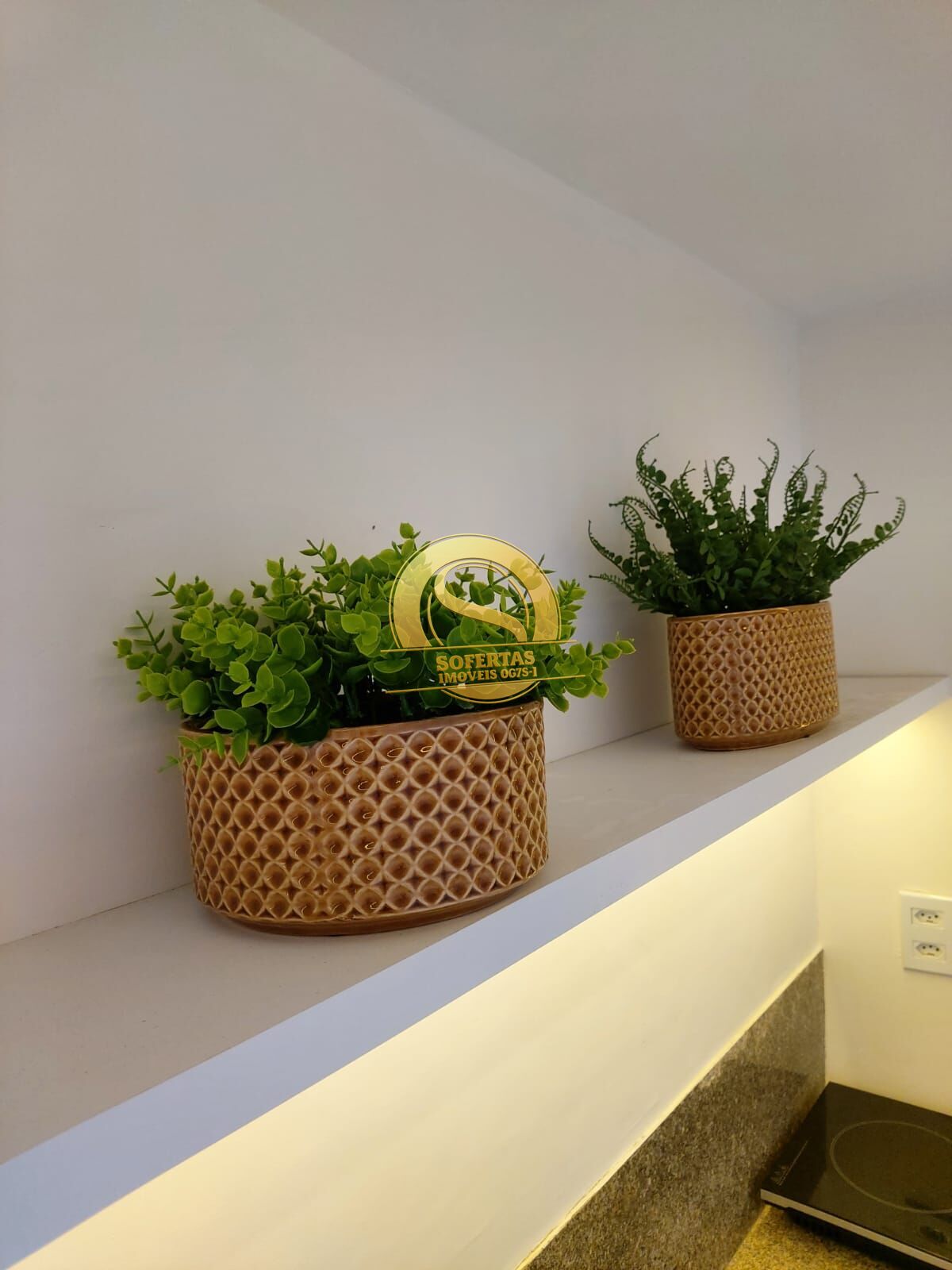 Casa, 4 quartos, 320 m² - Foto 12