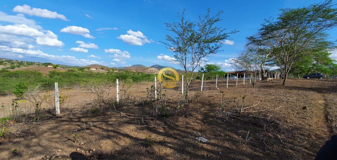 Terreno, 5000 m² - Foto 4