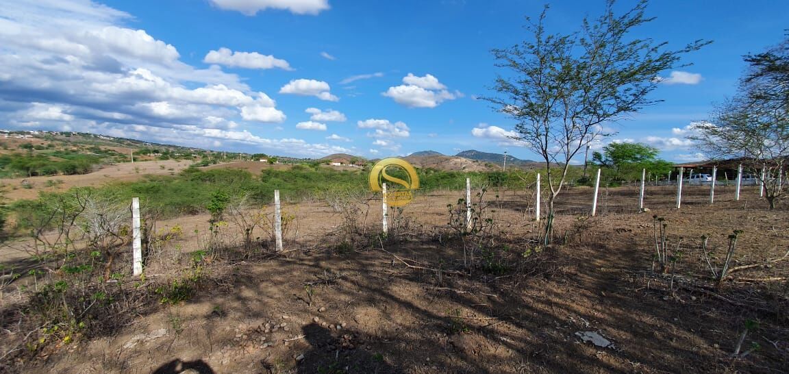 Terreno, 5000 m² - Foto 5