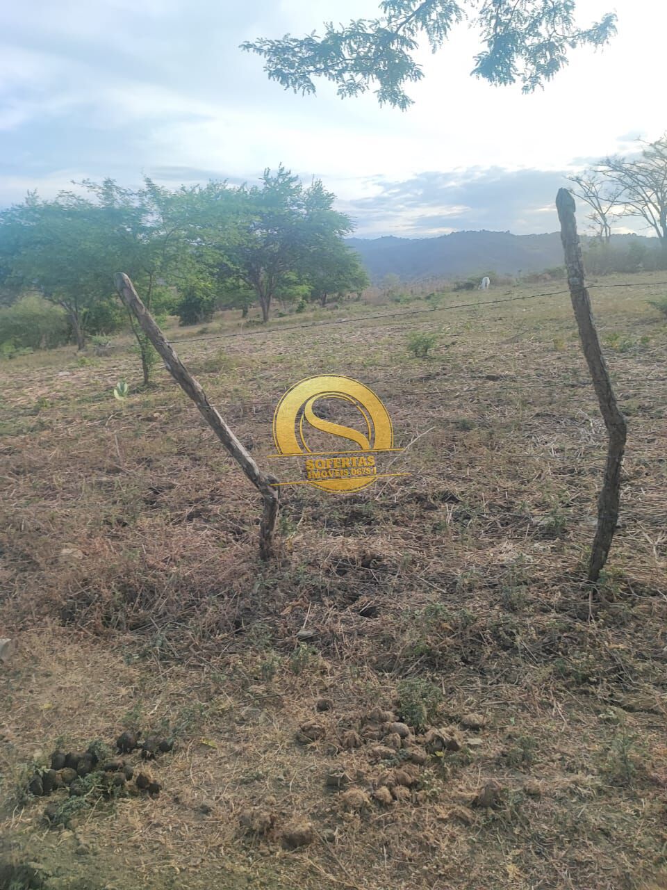 Terreno, 5000 m² - Foto 3