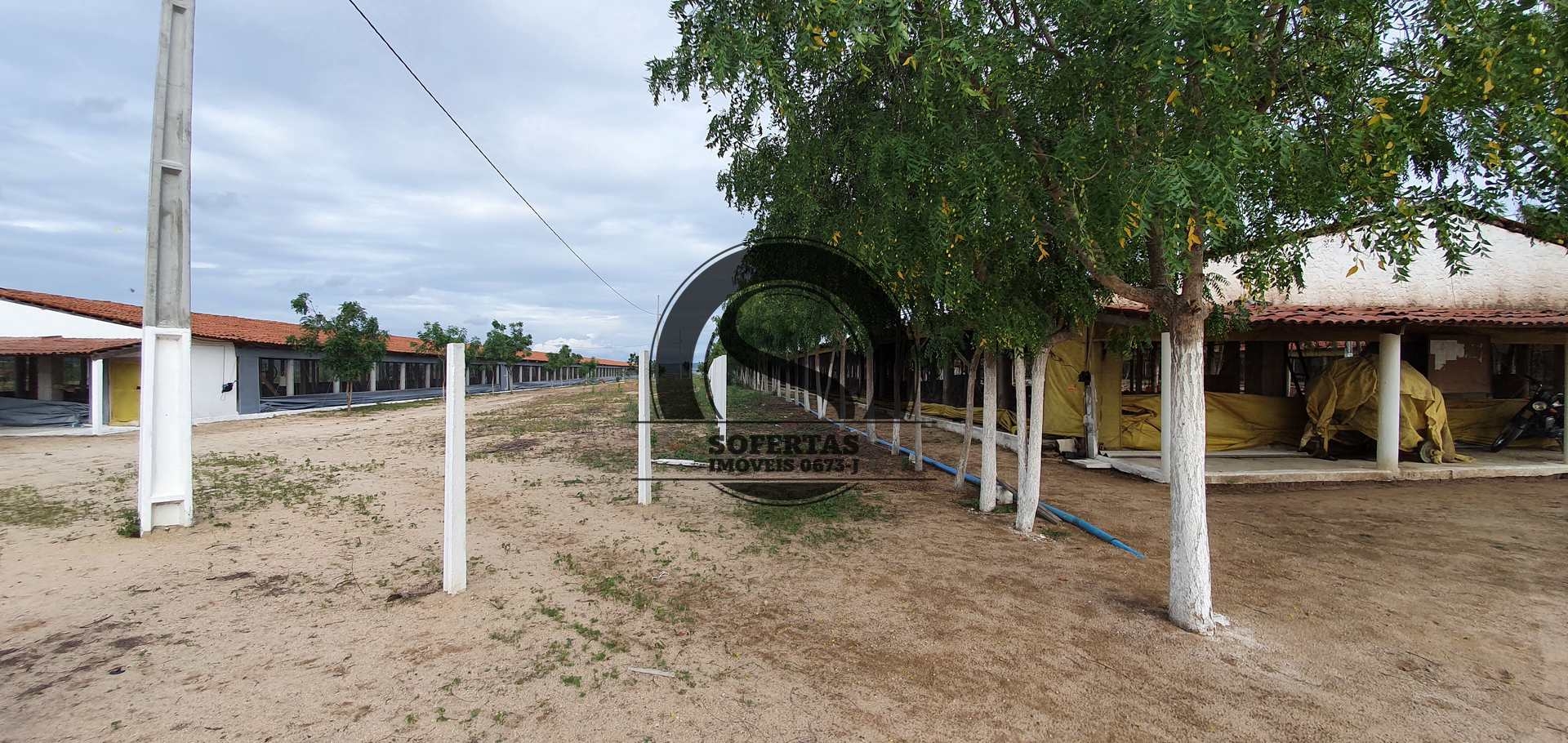 Fazenda à venda com 3 quartos, 8m² - Foto 5