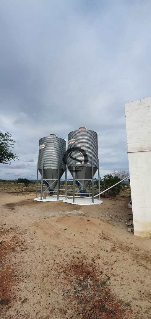 Fazenda à venda com 3 quartos, 8m² - Foto 26