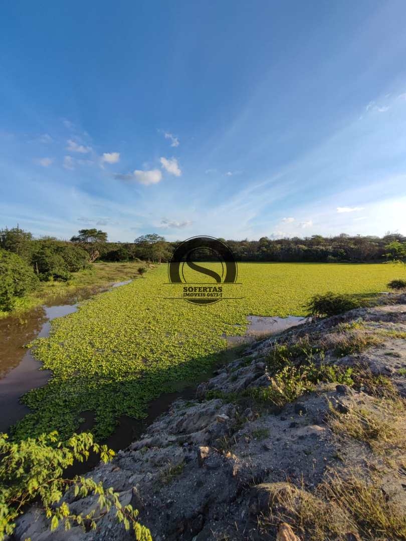 Fazenda à venda com 3 quartos, 8m² - Foto 24